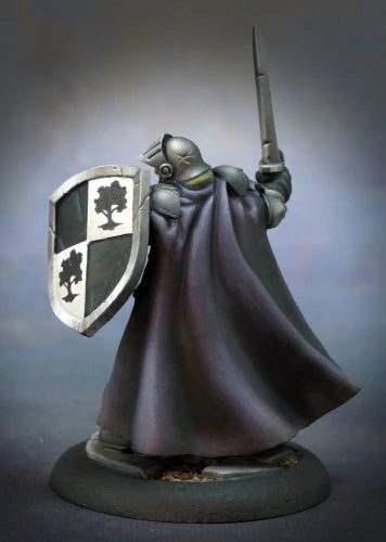Dungeons & Dragons Reaper Dungeon Dwellers - Baran Blacktree, Warrior 6 Dungeons & Dragons Reaper Dungeon Dwellers - Baran Blacktree, Warrior