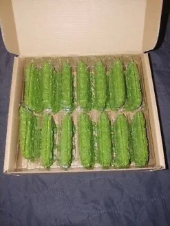 CMON CMon Boxed Games Zombicide - Green Horde 3D Plastic Hedges