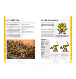 Games Workshop How To Paint Citadel Miniatures: Ironjawz