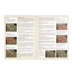 Games Workshop The Lord Of The Rings - Battle Of Pelennor Fields