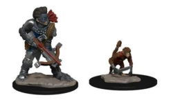 Wizkids Dungeons & Dragons Wardlings : Boy Rogue & Monkey