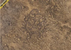 Para Bellum W'adrhun Exclusive - Game Mat (available In 3 Sizes) (custom Order)