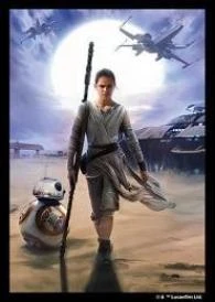 Fantasy Flight FF Deck Sleeves - Star Wars: Rey