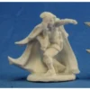 Dungeons & Dragons Reaper Bones-Arran Rabin