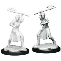 Wizkids Dungeons & Dragons Critical Role Unpainted Miniatures: W1 Half-Elf Echo Knight & Echo