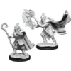 Wizkids Critical Role Unpainted Miniatures: W1 Male Hobgoblin Wizard & Druid